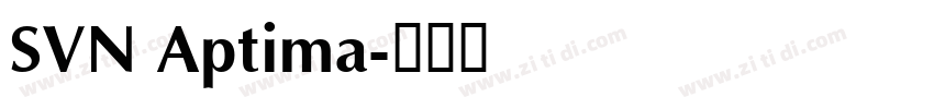 SVN Aptima字体转换